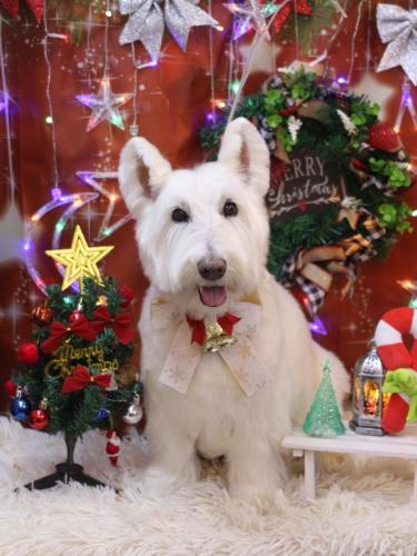 20231207ムーミンくん